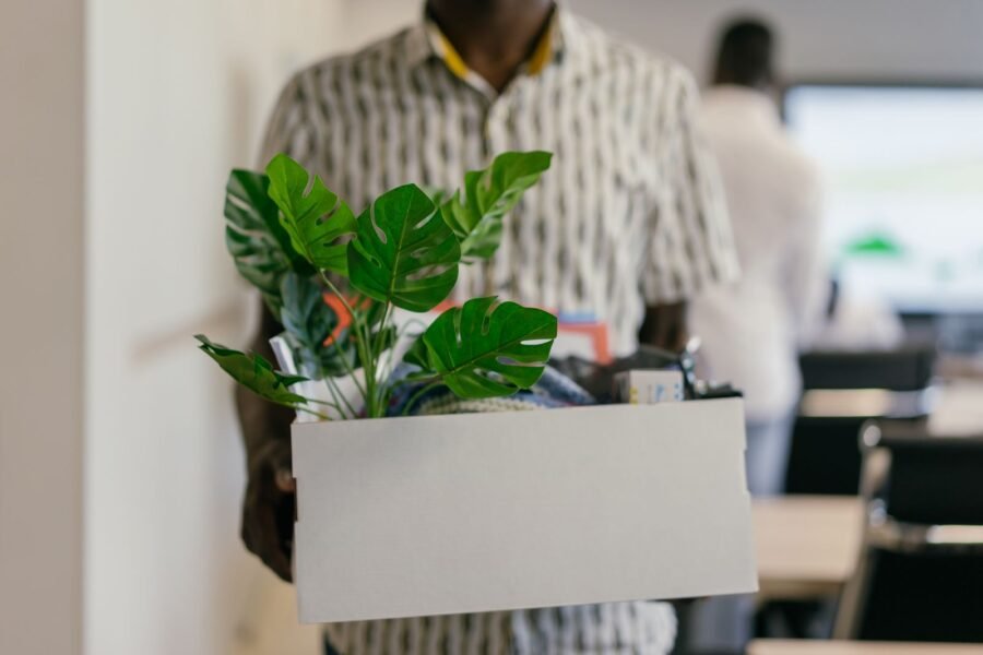Persona llevando una caja con una planta, apertura de un nuevo consultorio